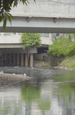 [AADT] Episode 6: Aspek Penting Memilih Layanan Sedot Tinja
